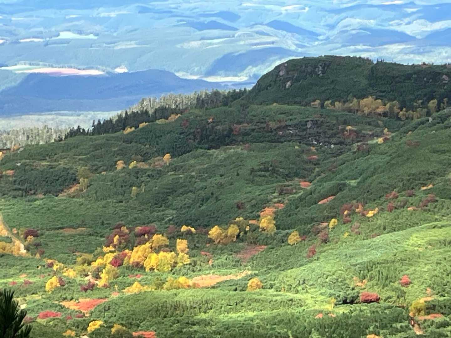 上ホロカメットク山 往復コースの写真