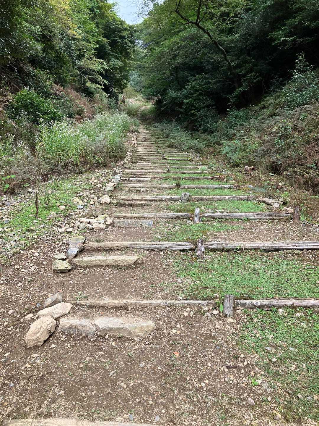 階段を登ります
