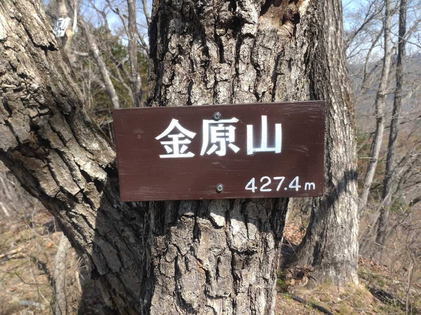 登山口から10分で金原山の山頂です(笑)😁