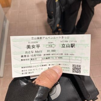 帰りは青年は扇沢　私は美女平へ🖐️
室堂からのバスも大行列🚌
美女平から歩いて材木坂降りるつもりだったけど真っ暗になったので課金してケーブルへ
助かった😰
だってクマさん🐻怖いやん
お疲れ様でした🙇‍♂️