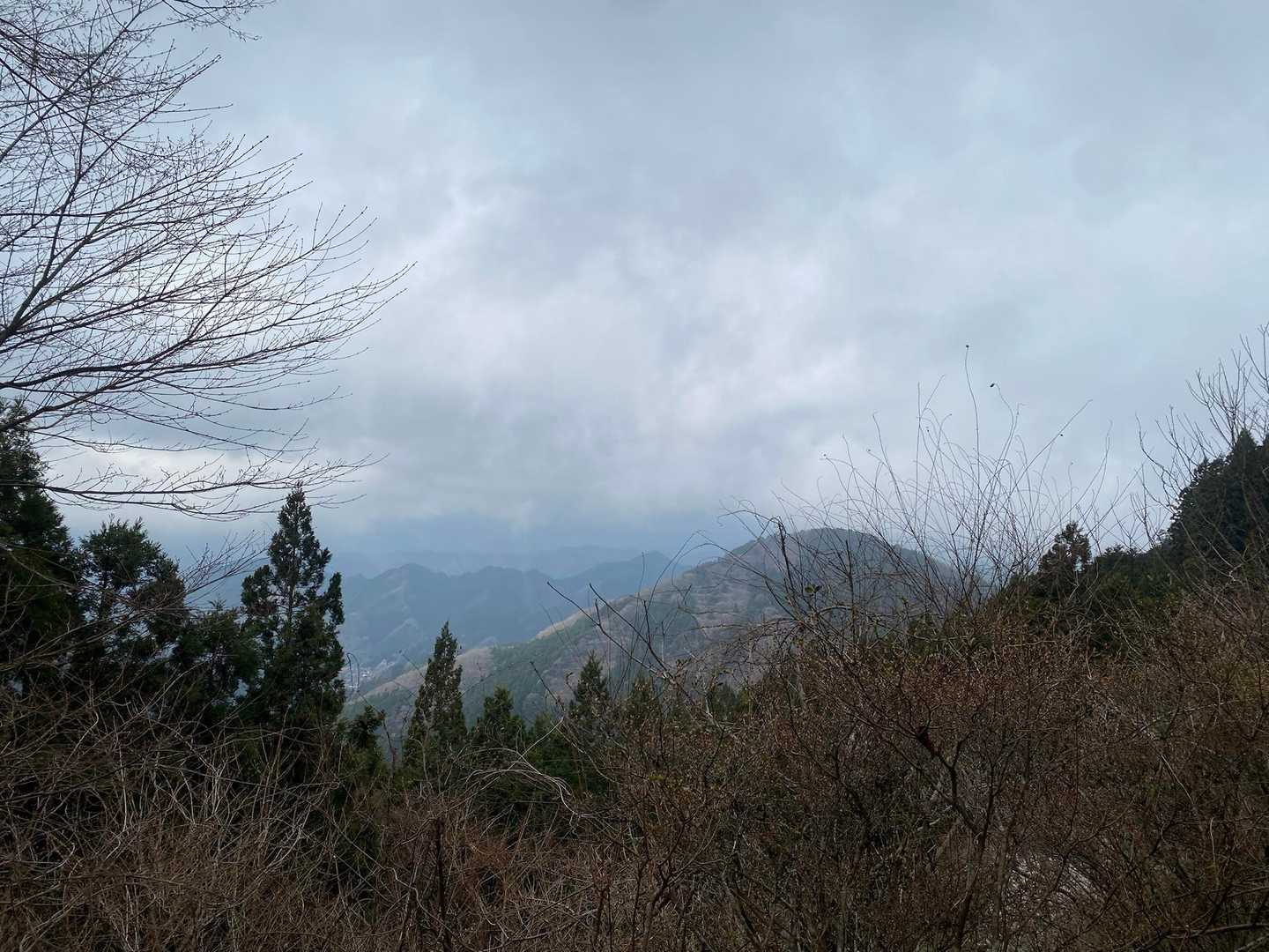 近くの山