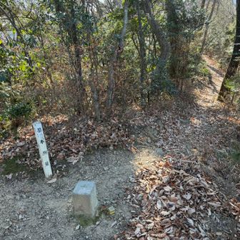 名もなき三角点