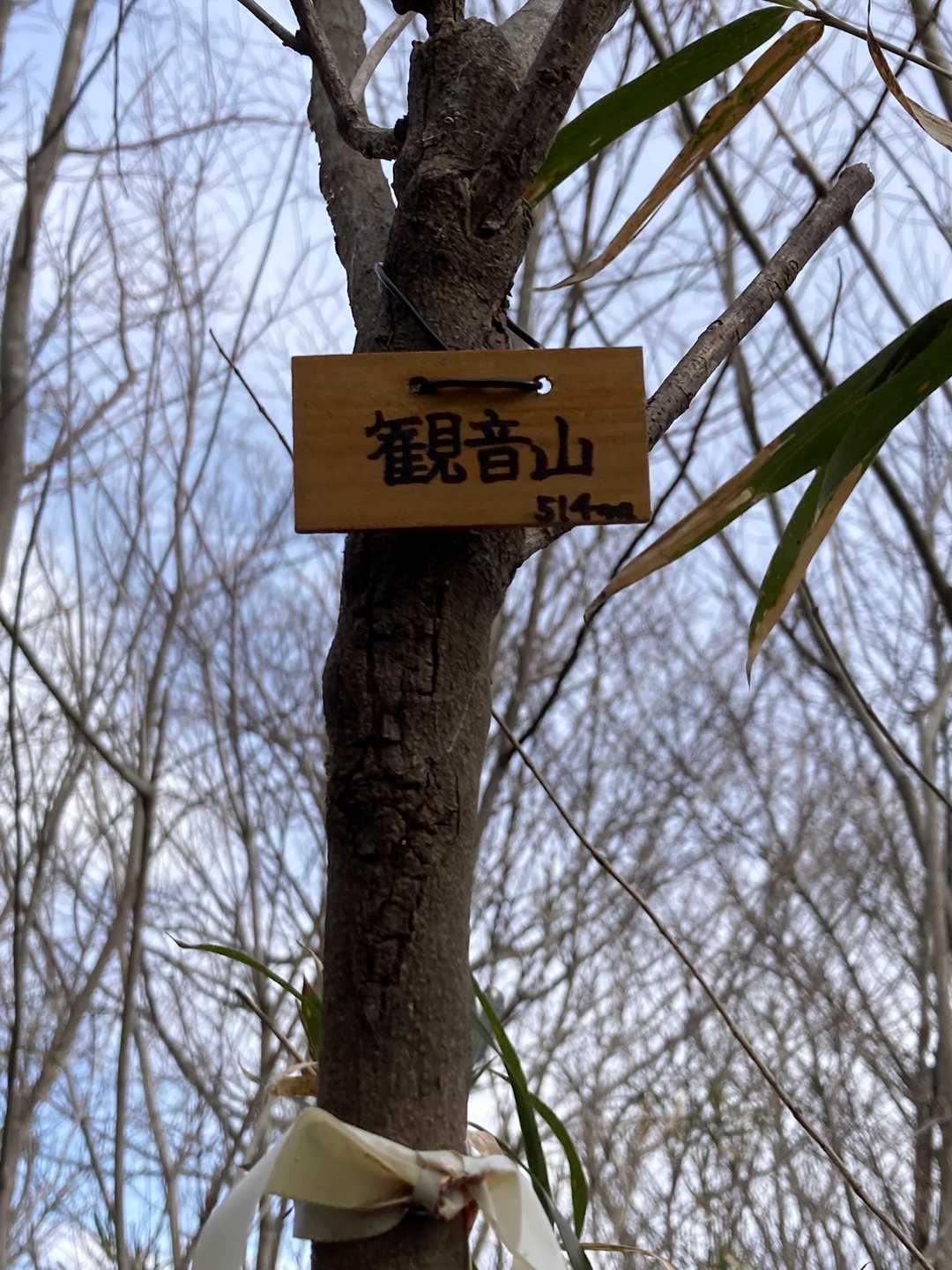 観音山頂上