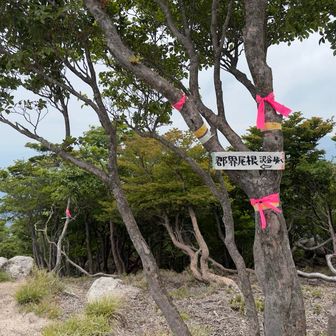 下山はコチラから〜