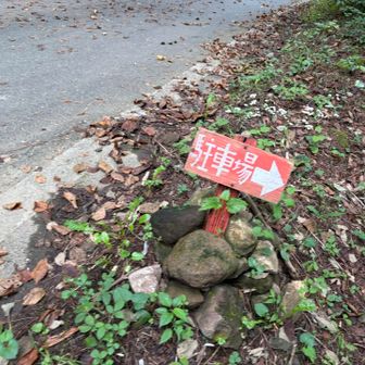 道路を渡って
