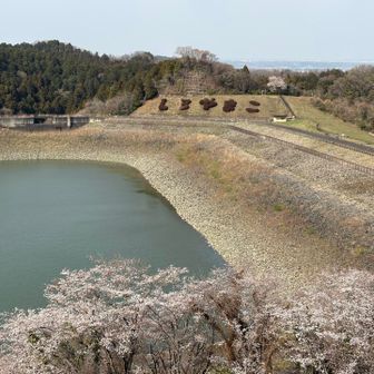 評議原〜城山ダムを通って帰る
奥の　しろやまこ　がかわいい。

地味に県内の湖を制覇したかも
それにしてもミズカメ心配😟
