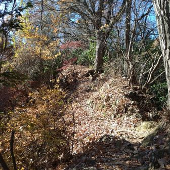 細尾根を登ると山頂。