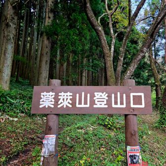 ここが本格的な登山口