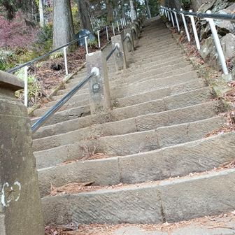 ここは⛩️脇からの表登山口
いきなり階段😣