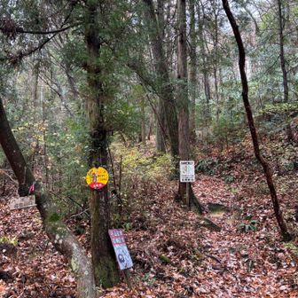 下山。あとは🅿️まで