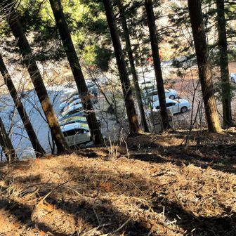 駐車場にでたー