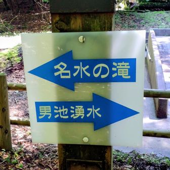 男池湧水
