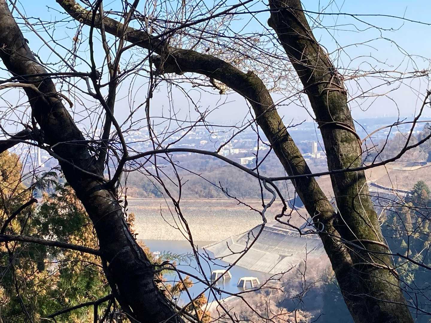 今日は榎窪山脇を抜けて左回りで行きまーす🚶‍♂️晴天続きでダム水位さがってます⤵️