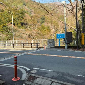 国道まで降りてきました