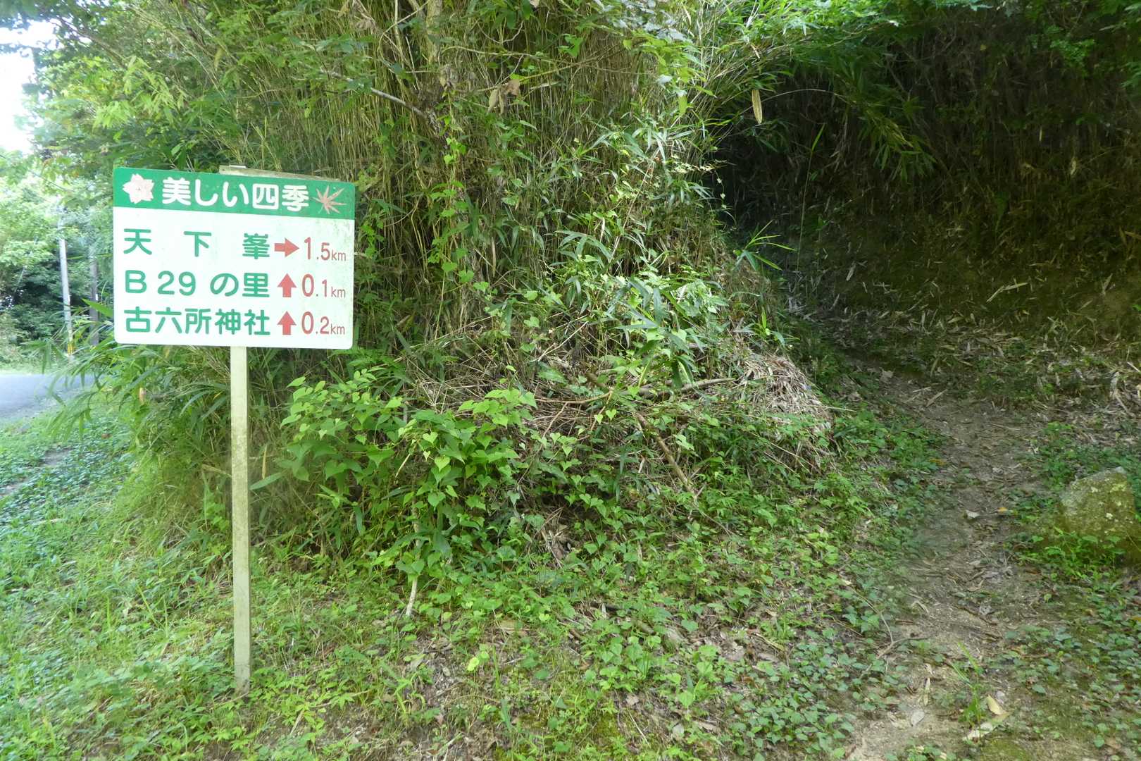 登山道に入ります