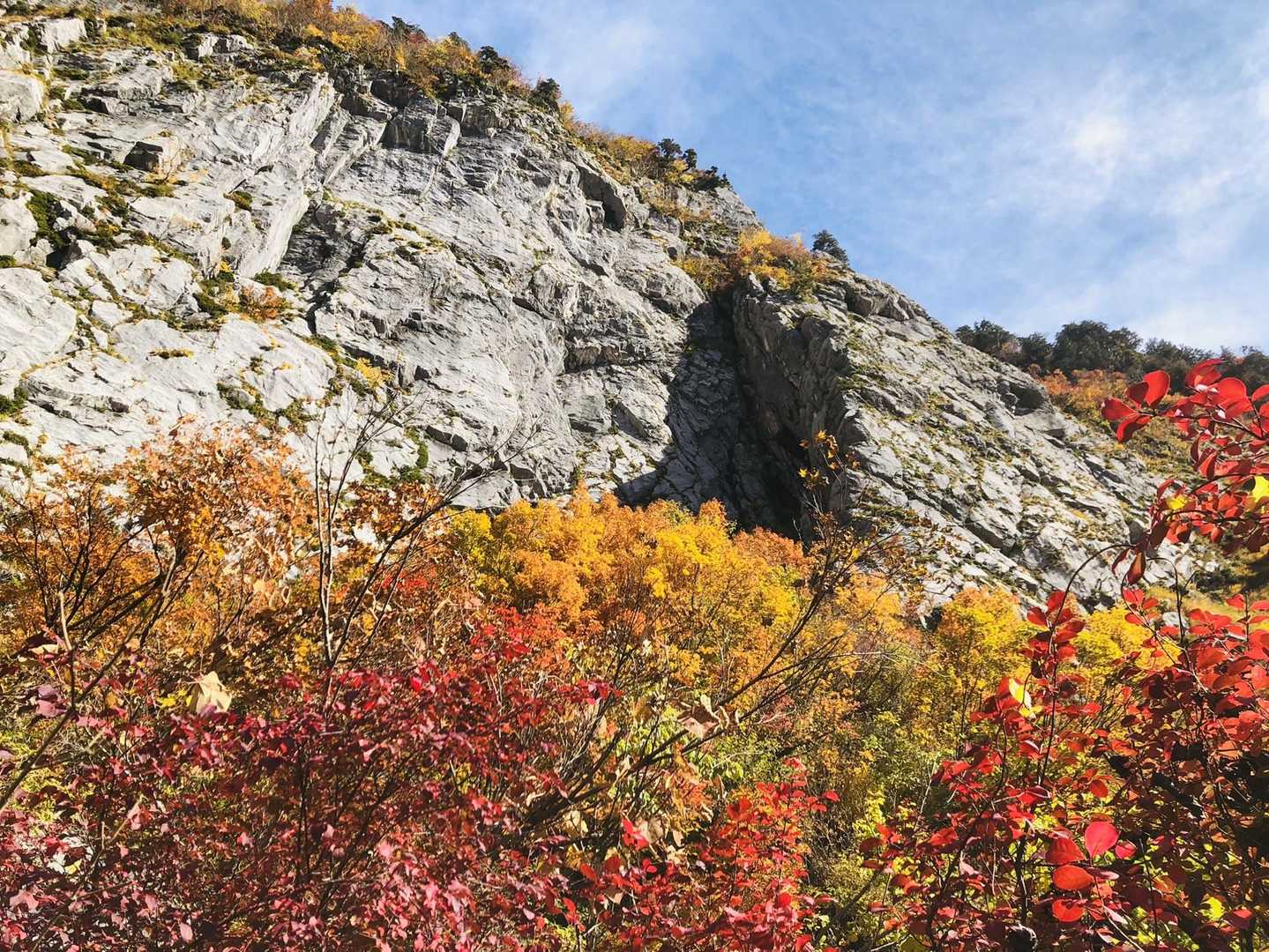 ヒスイ峡登山口-明星山 往復コースの写真