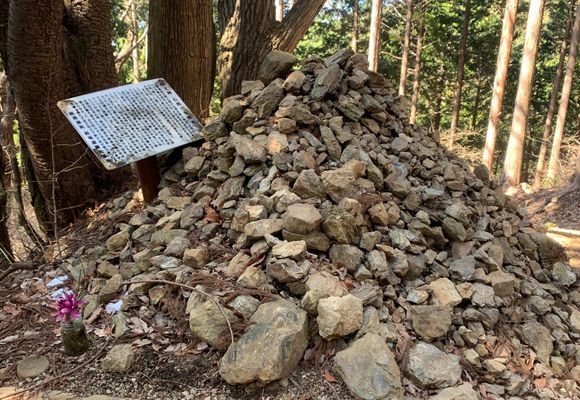 ムスカ大佐｜東京都の登山記録 | YAMAP / ヤマップ