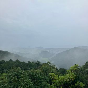 海岸