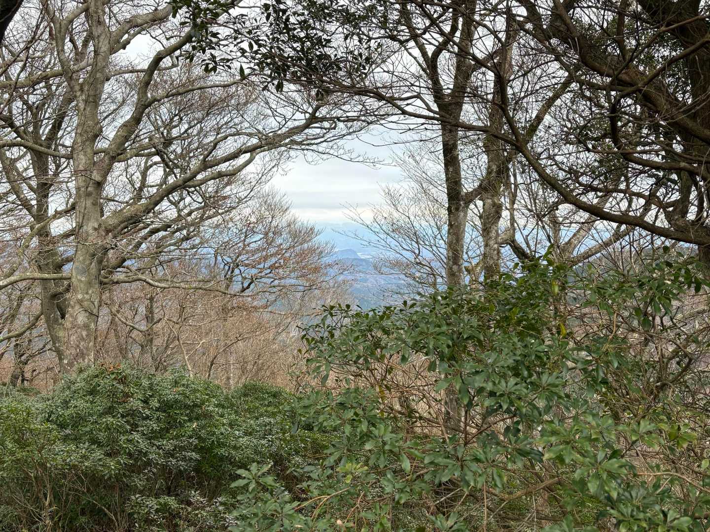 山頂からはこれしか見えない💦
