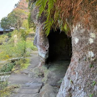 2巡目きちゃった