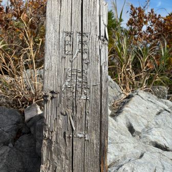 山頂