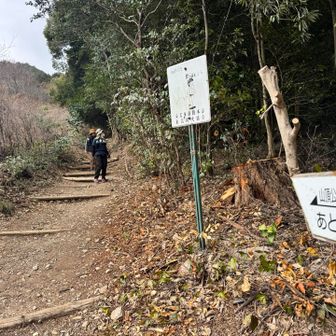 降りてきました👍