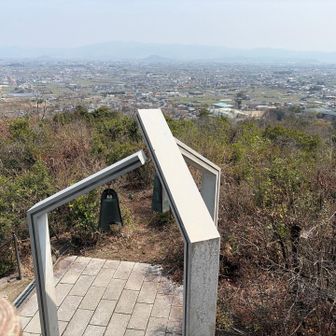 展望台からの景色