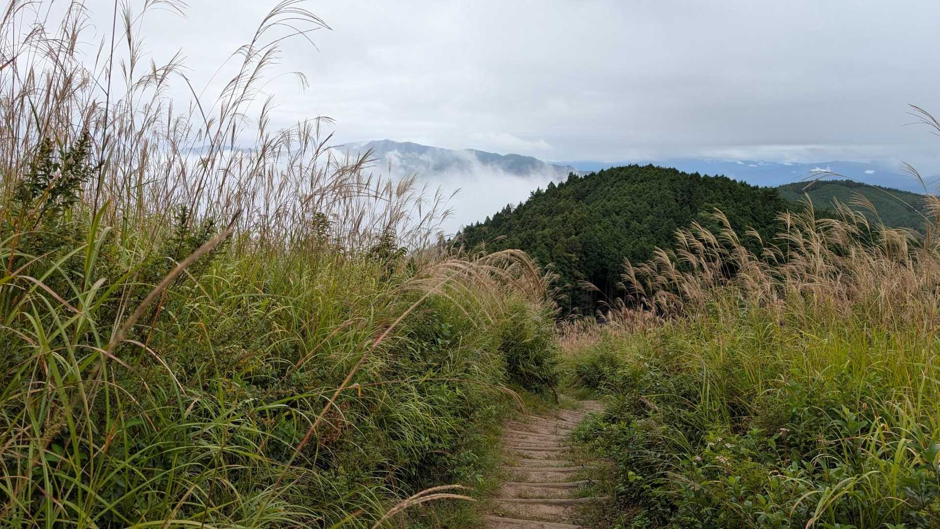 岩湧寺-いわわきの道・きゅうざかの道入口-岩湧山 周回コースの写真