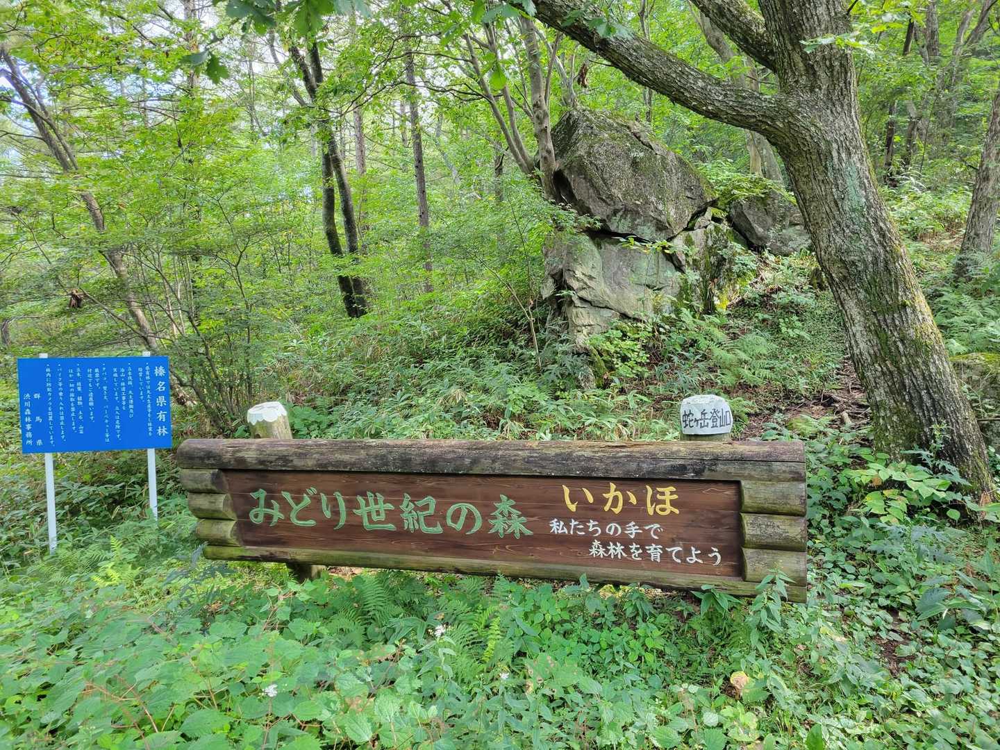 水分補給して登山開始します🚶