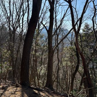 ありがとう大岳山