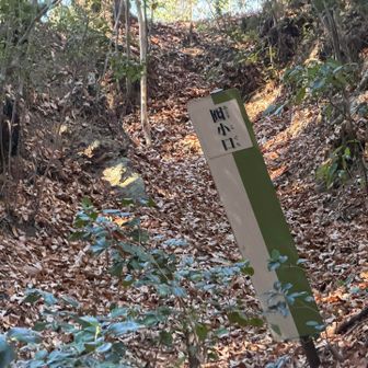 ここを登って侵入するには大変そうだ