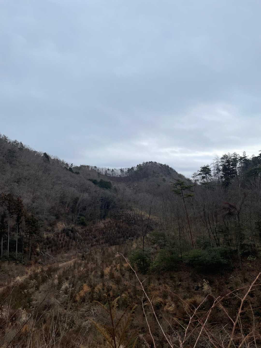 仏国寺-高取山 往復コースの写真