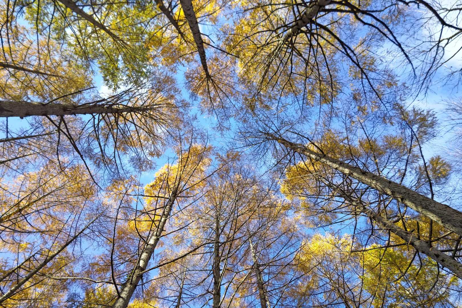 見上げると青空💙✨✨