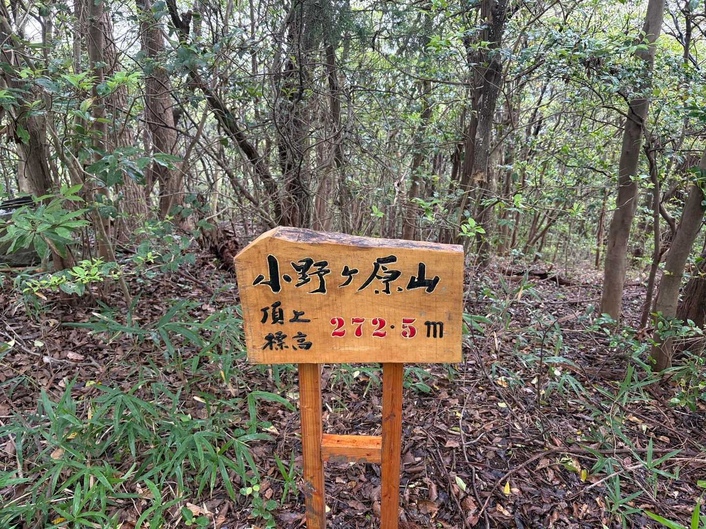 小野ケ原山に登って