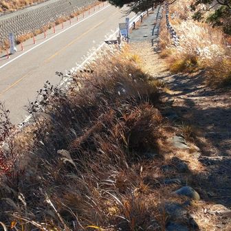 あれ？不動池まで行けないのは知っていたけどいつの間にか県道１号線に行き当たりました

そういえば◯◯さんの日記にも同じようなことが書いてありましたけ？

歩行者通行禁止なので引き返します