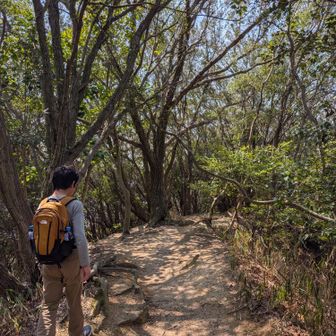 息子はどんどん大きくなって、わたしの登山靴も入らなくなってしまった！なので今日は登山靴じゃなくても行けるルートにしました。
まだ大きくなるので、イイ登山靴は買えないけどリーズナブルなやつを一応購入したのを待っています