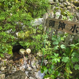 ここの水が冷たくてとても美味しかったです。