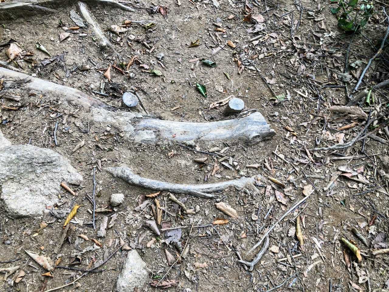 ニコちゃんマーク¨̮ ¨̮ ¨̮に見えるのは私だけ??
‪☺︎‬‪☺︎‬‪☺︎‬‪☺︎‬‪☺︎‬‪☺︎‬‪☺︎‬‪☺︎‬‪☺︎‬‪☺︎‬‪☺︎‬‪☺︎‬‪☺︎‬‪☺︎‬‪☺︎‬‪☺︎‬‪☺︎‬‪☺︎‬‪☺︎‬‪☺︎‬‪☺︎‬‪☺︎‬‪☺︎‬‪☺︎‬‪☺︎‬‪☺︎‬‪☺︎‬‪☺︎‬‪☺︎‬‪☺︎‬‪☺︎‬‪☺︎‬