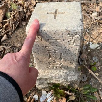 三角点
ポチッと