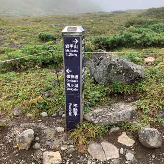 さぁ頂上目指します⛰️