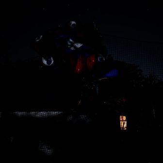夜中のミャクミャク