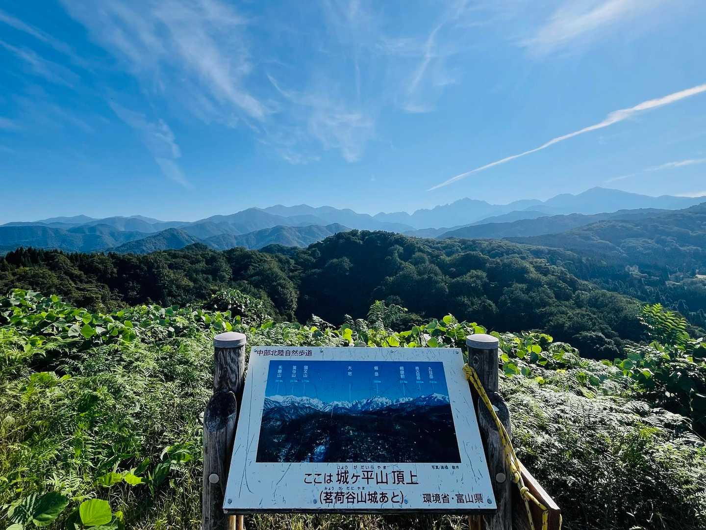 最高やーん😆