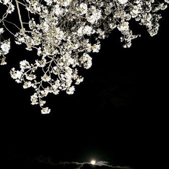 日の出🌅。。。🤣