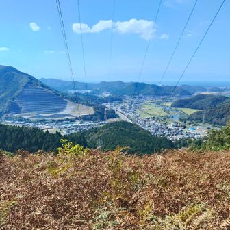 鉄塔の下からの眺め