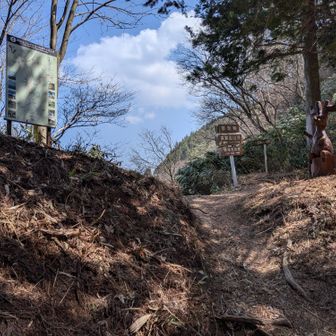 御坂峠に到着。高賀山山頂の前に、峰稚児神社へ行きます