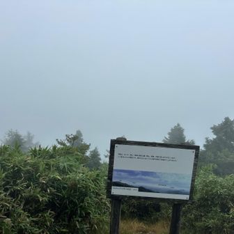 何も見えない…。