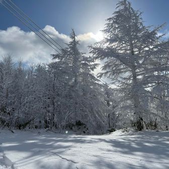 名残惜しいが
次は兜へ