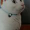 ねこ