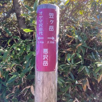 悪沢岳