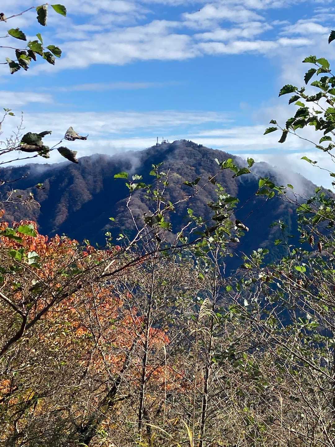 振り返れば大山